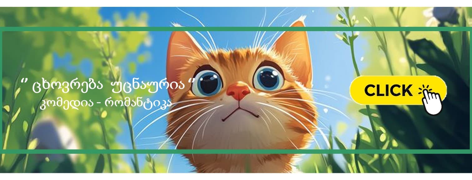 https://storage.googleapis.com/dreamer-club/1781195664988_image.jpg