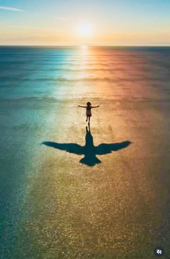 განცფილდის ეფექტი_რეალობა, რომელიც არ არსებობს. 